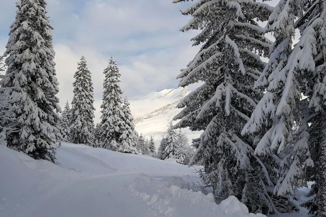 Apartmán Les Grands Balcons De L'Etale Manigod Exteriér fotografie